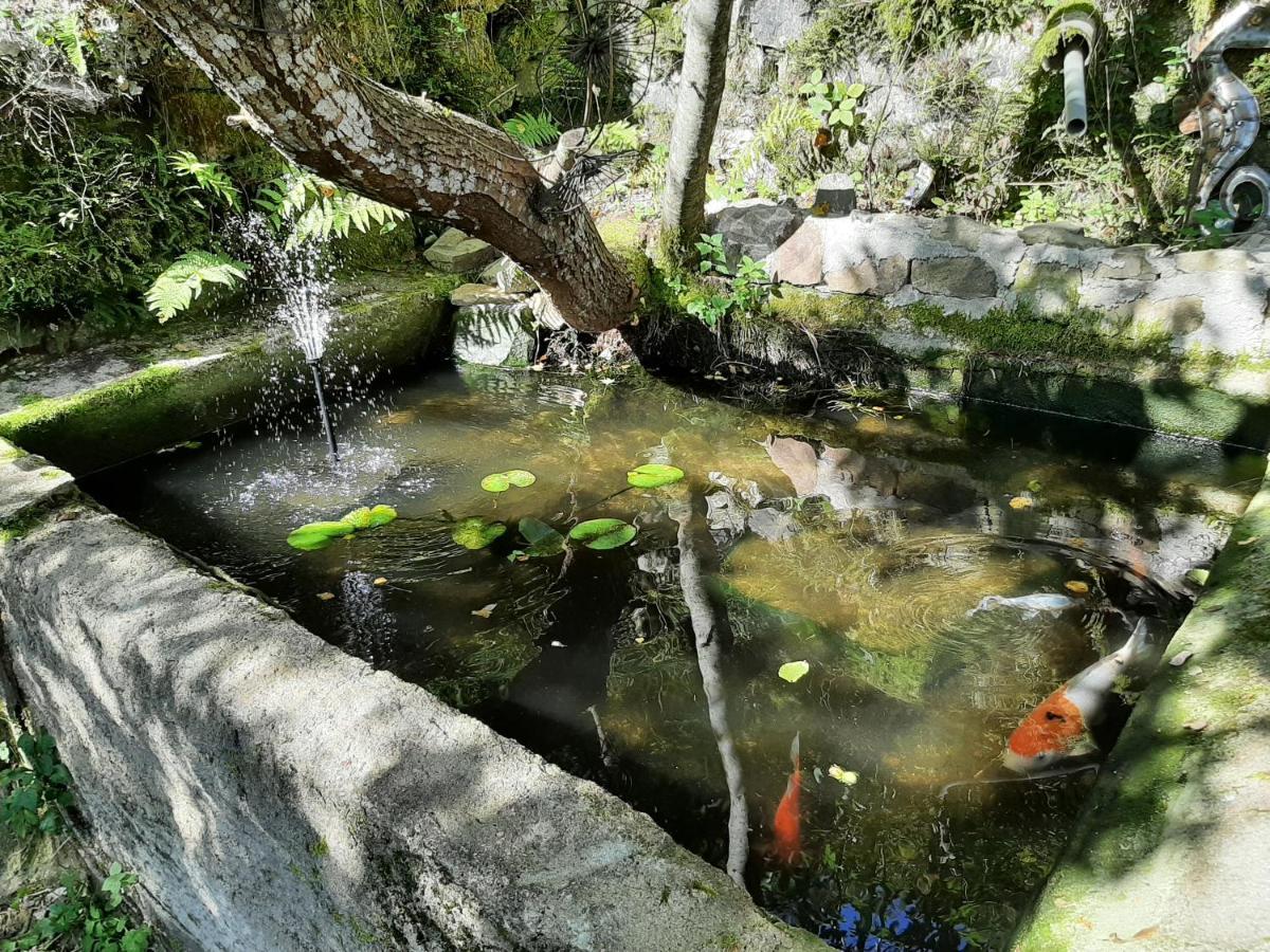 Chambre Boheme Au Domaine De Fangorn Glux-en-Glenne Exteriör bild